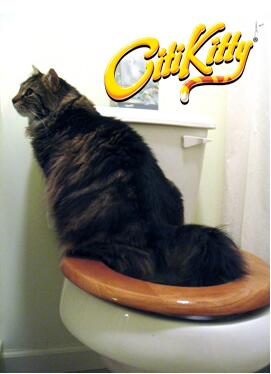 Cat Toilet Training Device