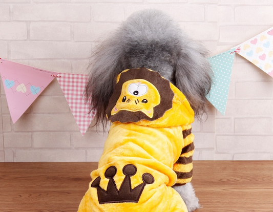 Halloween Dog Costume – Adorable Fall Outfit for Pets